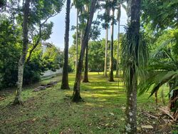 Raffles Park (D11), Detached #468796591